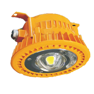 Explosion-proof Light